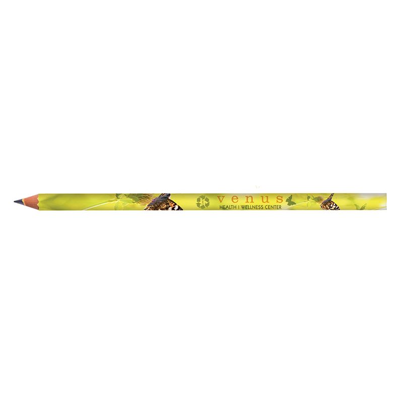 Picture of BIC Evolution Digital Ecolutions pencil