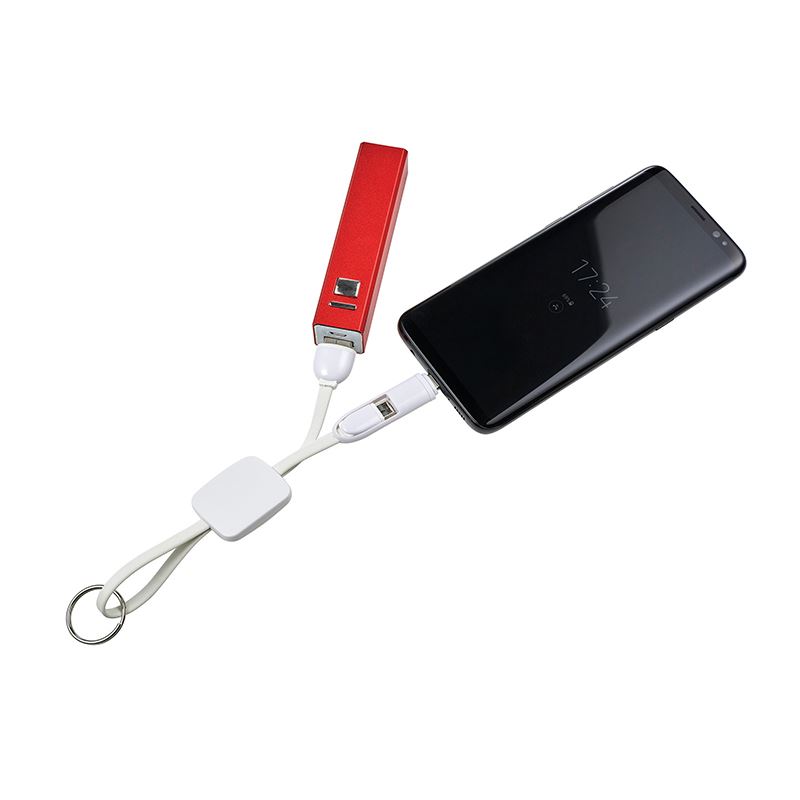 Picture of USB-C charging cable with key ring