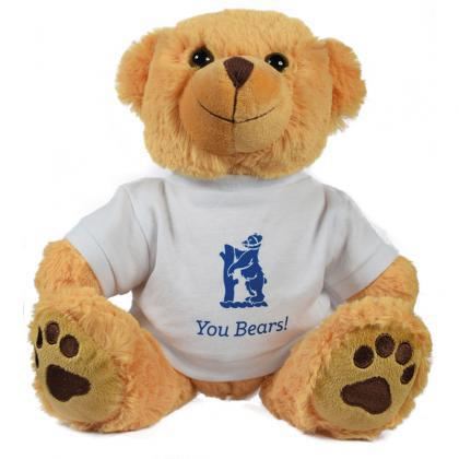 Picture of 15inch Dexter Bear with T Shirt