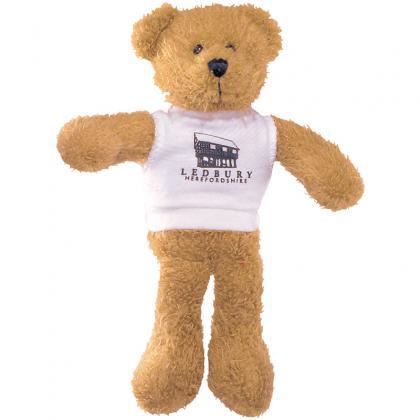 Picture of 7inch Scraggy Bear with T Shirt